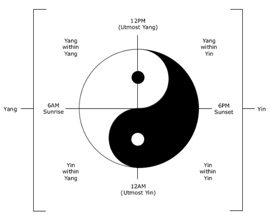 yin cortisol axis