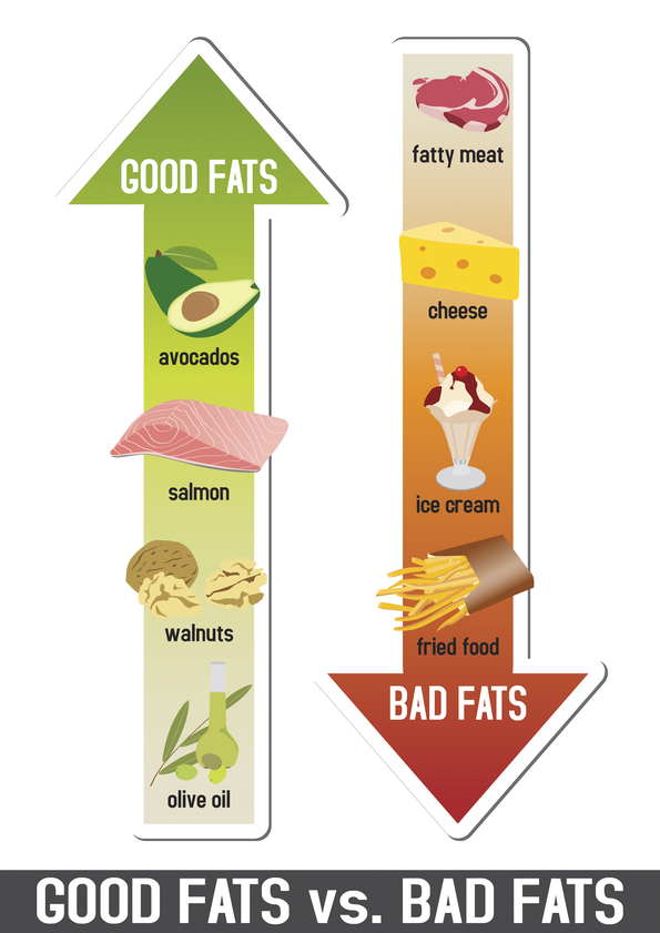 Good fats and bad fats, polyunsaturated and monounsaturated fats vs. saturated  or trans fatty acids; infographic