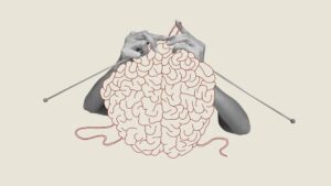 Exploring the Landscape of Brain Health and Function: A Deep Dive into Cognitive, Emotional, and Physical Well-being