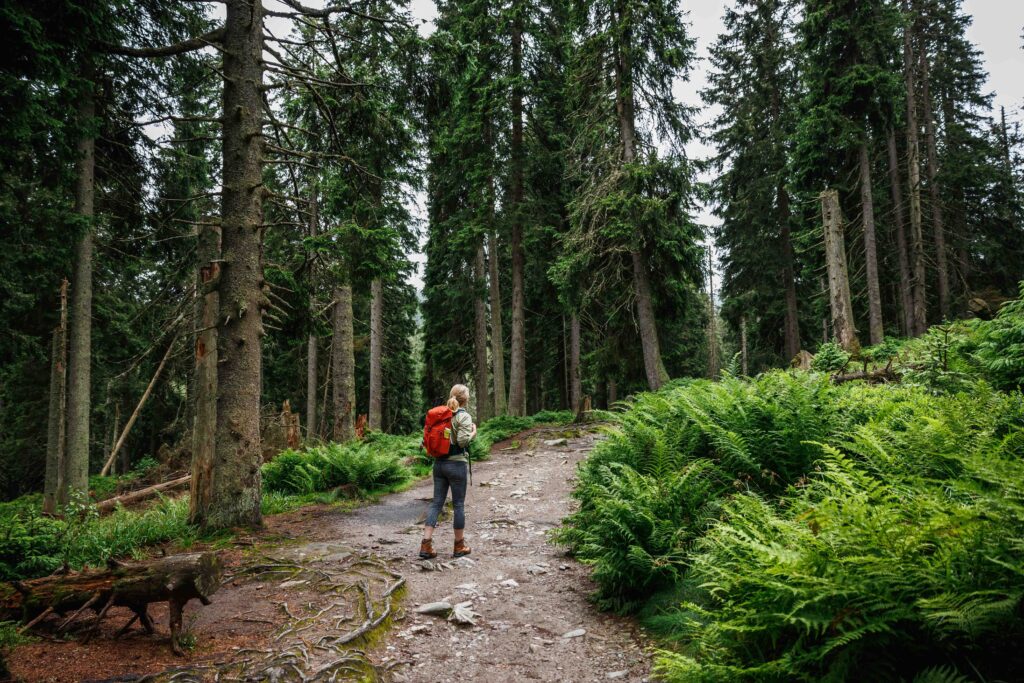 Woman hiking in the woods.